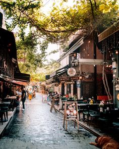 people are walking down an alley way with tables and chairs on either side, while a dog lays in the middle of the street