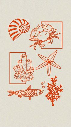 an orange ink drawing of different types of sea animals and seashells on white paper