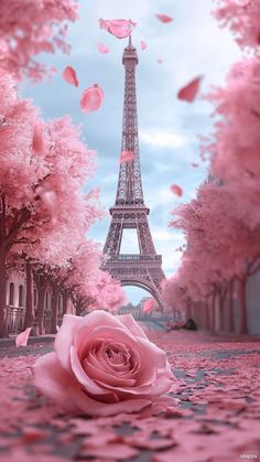 the eiffel tower in paris is surrounded by pink trees and petals, as well as a rose