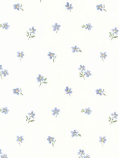 small purple flowers on a white background