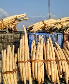 there are many bundles of wood in baskets