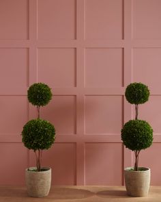 two potted plants sitting on top of a wooden table next to a pink wall