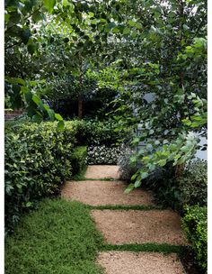 a garden path surrounded by trees and bushes