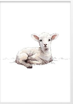 a watercolor painting of a sheep laying down on the ground in front of a white background