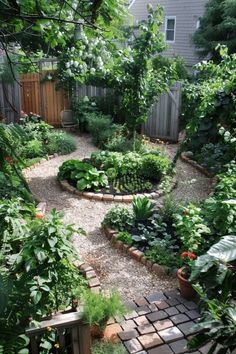 an outdoor garden with lots of plants and rocks