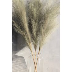 some grass in a glass vase on a table