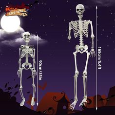 Amazon affiliate Halloween Graveyard Decorations, Graveyard Decorations, Child Skeleton, Skeleton Model, Halloween Graveyard, Human Bones, The Skeleton, Halloween Skeletons, Graveyard