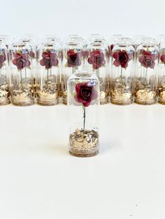 there are many glass vases with red flowers in them and gold coins on the bottom