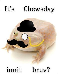 a gecko with a mustache and hat on it's head, says it's cheesday