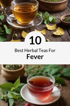 Natural Prostate Health Natural Fever Reducer For Adults, Natural Fever Reducer, Clover Tea, Natural Remedies For Fever, Holy Basil Tea, Red Clover Tea, Best Herbal Teas, Basil Tea, Echinacea Tea