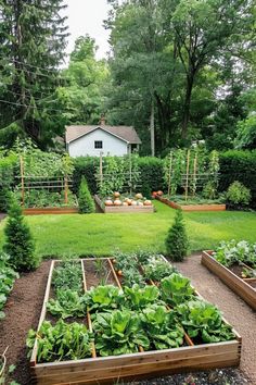 Lush backyard garden with neatly organized raised beds growing a variety of vegetables, framed by tall trees and a small white shed in the background. Gorgeous Vegetable Garden, Veggie Garden Backyard, Backyard Produce Garden, Cute Veggie Garden, Beautiful Vegetable Garden Inspiration, Vegetable Gardens Ideas Backyard, Garden Allotment Ideas, Vego Garden Layouts, Vegetable Patch Ideas