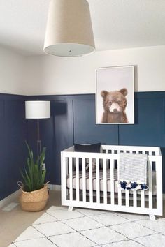 a baby's room with blue walls and white crib in the corner, potted plant next to it