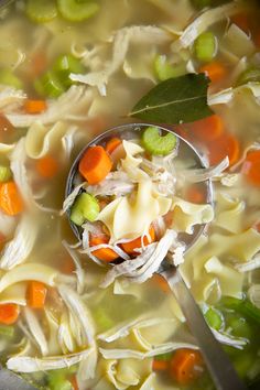 a spoon full of chicken noodle soup with carrots and celery