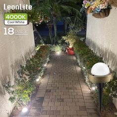 an outdoor pathway with lights and plants on the side walk, along with a brick path between two walls