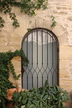 an arched window with iron bars on the side of a stone building surrounded by greenery and potted plants