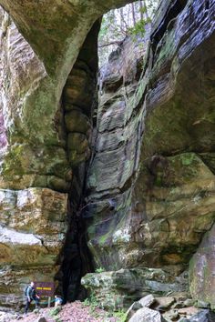 a man climbing up the side of a large rock formation in a forest with lots of trees