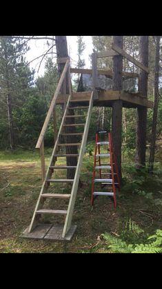 two ladders going up to the top of a tree house in the woods,