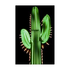 a green cactus with bright lights in the background