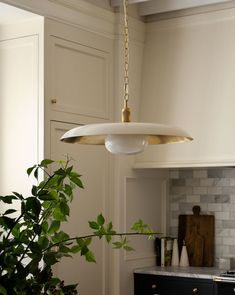 a kitchen with a potted plant on the counter and a light fixture hanging from the ceiling