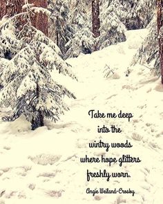 a snowy path in the woods with a quote on it that says take me deep into the winter woods where hope glitters, freshly worth