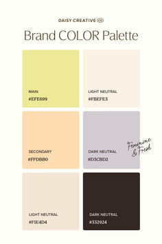 the brand color palette for daily creative