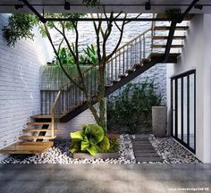 the stairs are made of wood and stone, leading up to an outdoor area with plants on either side