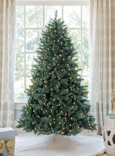 King of Christmas 7' Tribeca Spruce Blue Artificial Christmas Tree with 550 Warm White LED Lights Blue Spruce Tree, Colorado Blue Spruce, Flocked Tree, Spruce Christmas Tree, Artificial Christmas Trees, Warm White Led Lights, Wreaths Ideas, Spruce Tree, Blue Spruce