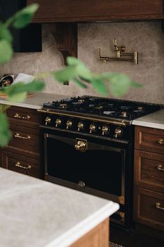 a stove top oven sitting inside of a kitchen next to wooden cabinets and counter tops