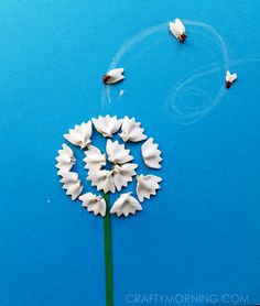 white flowers on blue surface with two birds flying in the sky above them and one flower is upside down