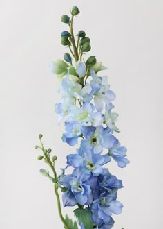 blue flowers are in a vase on a table