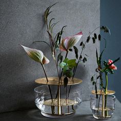 three glass vases with flowers in them on a table next to a gray wall