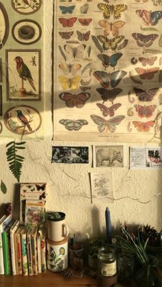 the wall is covered with many different kinds of butterflies