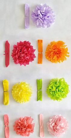 several different types of flowers on a white surface