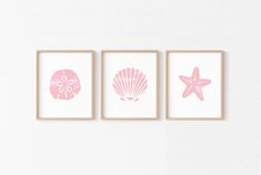 three pink seashells and starfish prints on a white wall