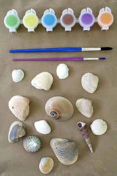 various seashells, markers and pencils laid out on a table