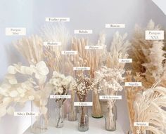 an assortment of dried flowers in glass vases