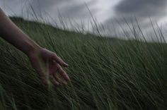 a hand reaching for something in the tall grass on a hill under a cloudy sky