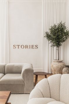 a living room filled with furniture and a plant