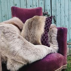 How to Re Use Vintage Fur in your Home - Millie Scott Studio Fur Stole