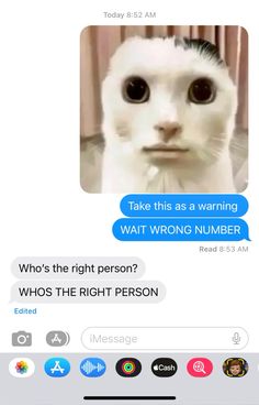 the cat is looking at the camera and texting it's wrong to say