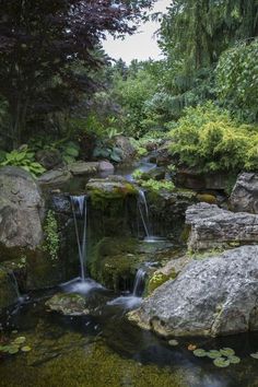 there is a small waterfall in the middle of this garden