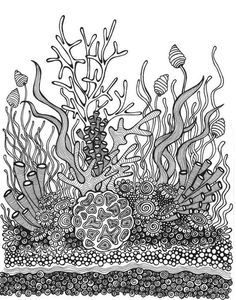 a black and white drawing of an underwater scene with corals, seaweed and other marine life