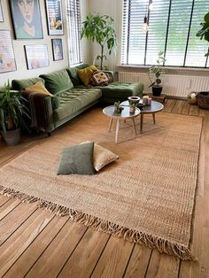 a living room filled with furniture and lots of plants on top of wooden flooring