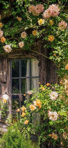 an old window surrounded by flowers and greenery