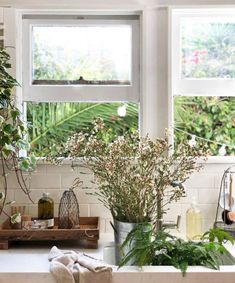 a kitchen window with plants and other items on the windowsill