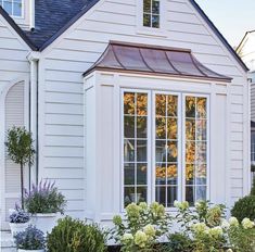 a white house with windows and plants in the front yard