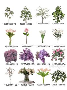 various types of flowers are shown in this image