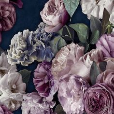 an arrangement of purple and white flowers on a blue background