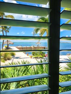 an open window looking out at the beach and palm trees in front of it,