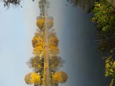 a body of water surrounded by trees with yellow and orange leaves on it's sides